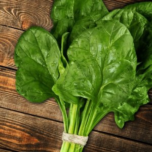 Spinach Biogen Wellness Pack