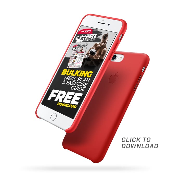 Download Bulking Guide