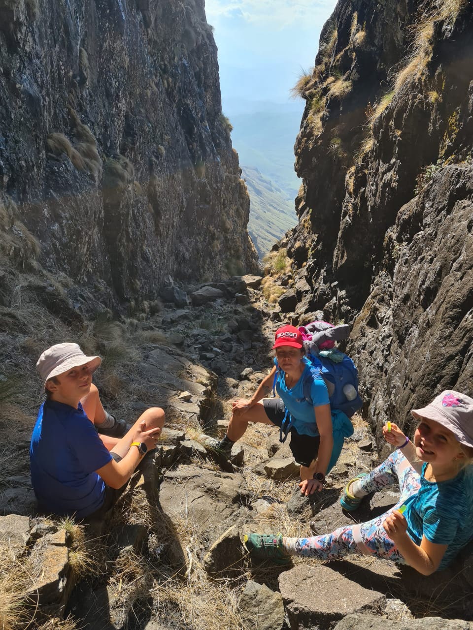 Biogen Wellness Pack