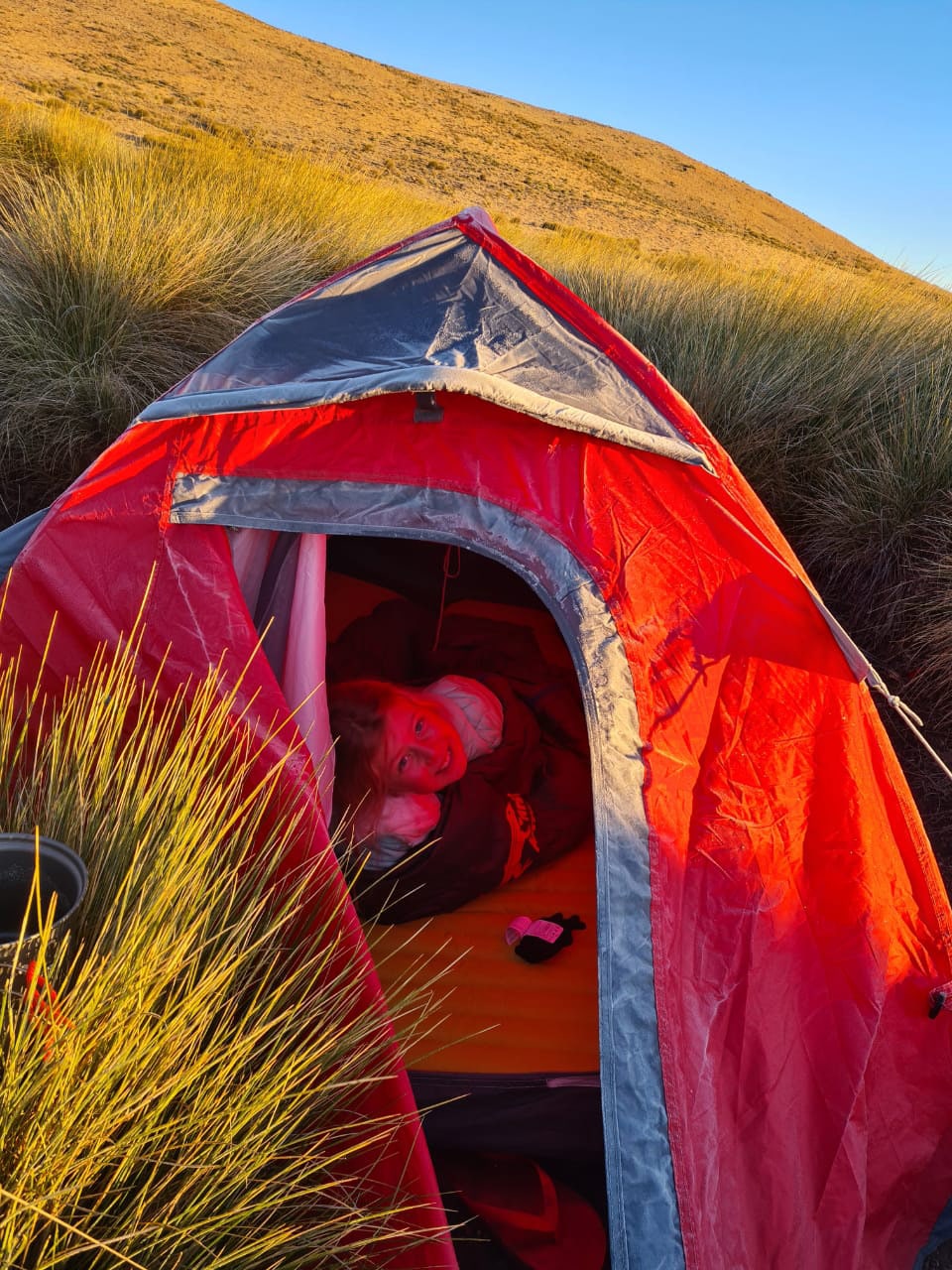 Biogen Wellness Pack